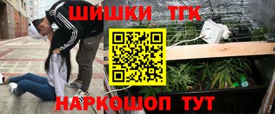 эйфоретик Кингисепп