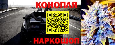 эйфоретик Кингисепп
