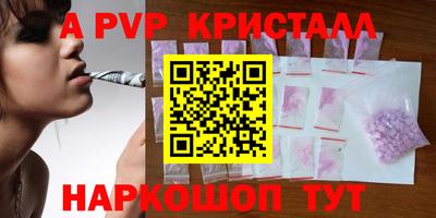 эйфоретик Кингисепп