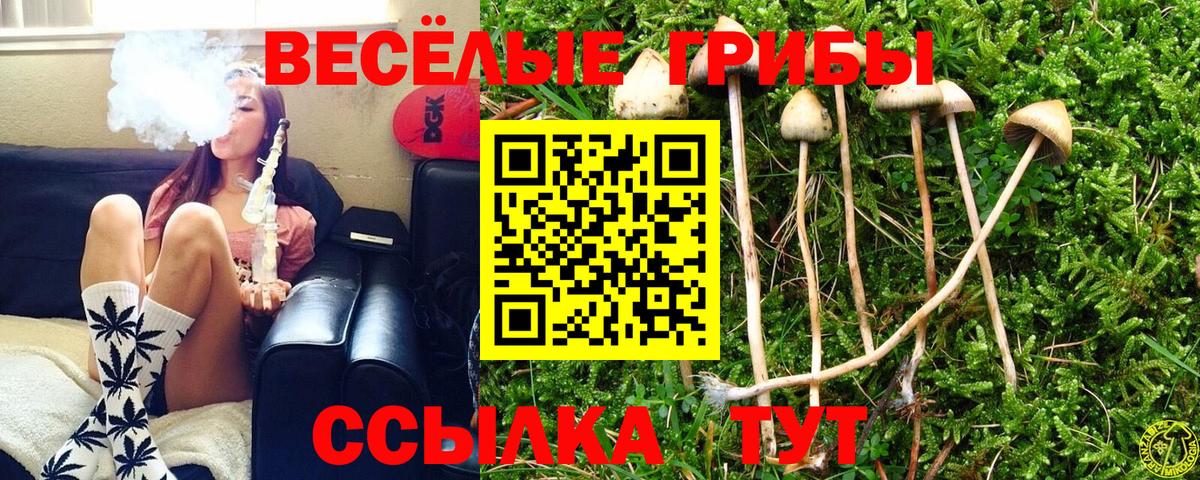 Клинцы  Псилоцибиновые грибы мицелий  наркошоп  Вход с VPN 